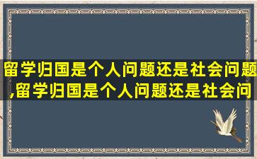 留学归国是个人问题还是社会问题,留学归国是个人问题还是社会问题 反方